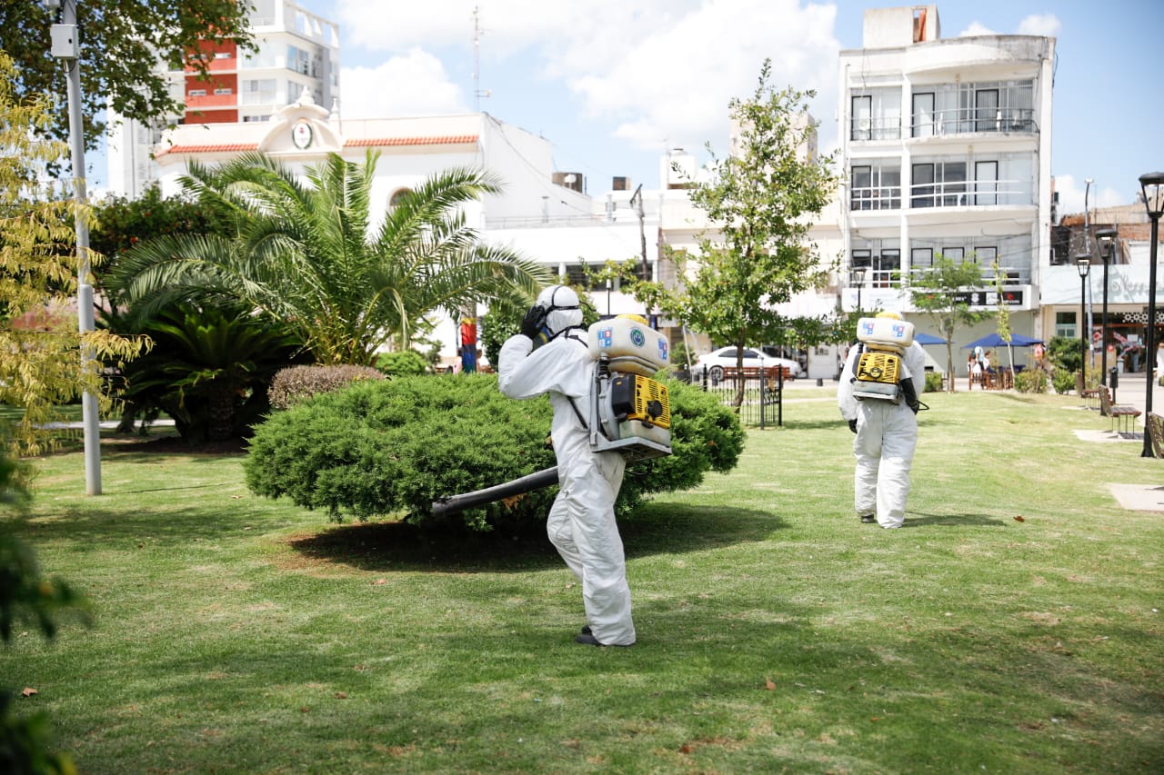 El municipio sigue adelante con los operativos de fumigación